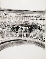 KT 2006 020
          <br/>
          Otterlo, vegetatie
          <br/>
          <em>Damsté, Paul (1944)</em>